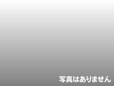 真鍮ラジエーター